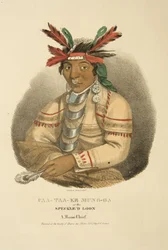 Caa-taa-ke Mung-ga or the Speckled Loon